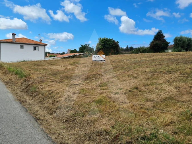 Terreno para Venda em Macinhata do Vouga Foto 3