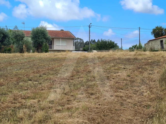 Terreno para Venda em Macinhata do Vouga Foto 10
