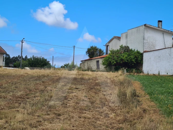 Terreno para Venda em Macinhata do Vouga Foto 11