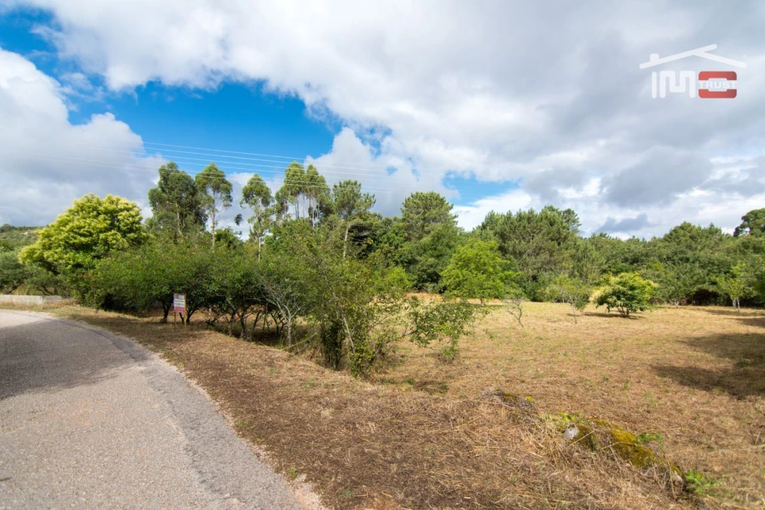 Terreno Agricola ou Rústico para Venda em São Mamede Foto 2