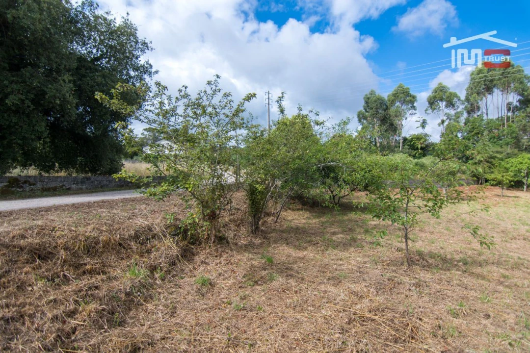 Terreno Agricola ou Rústico para Venda em São Mamede Foto 11