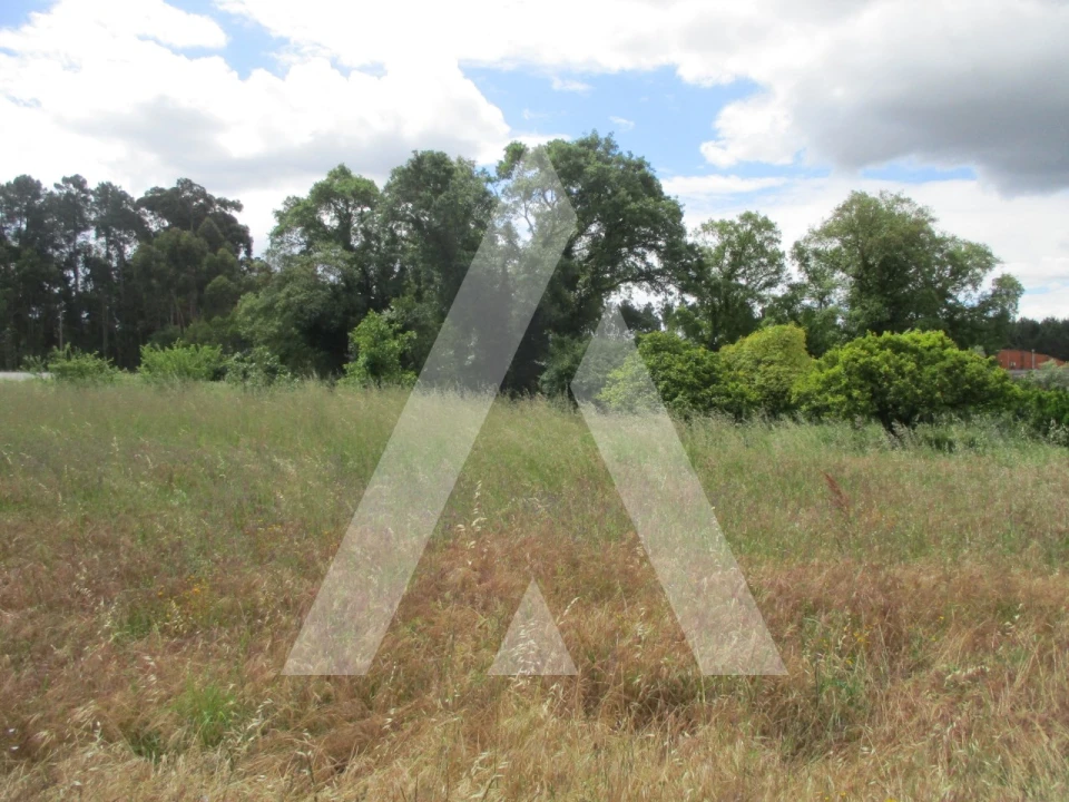 Terreno para Venda em Sangalhos Foto 3