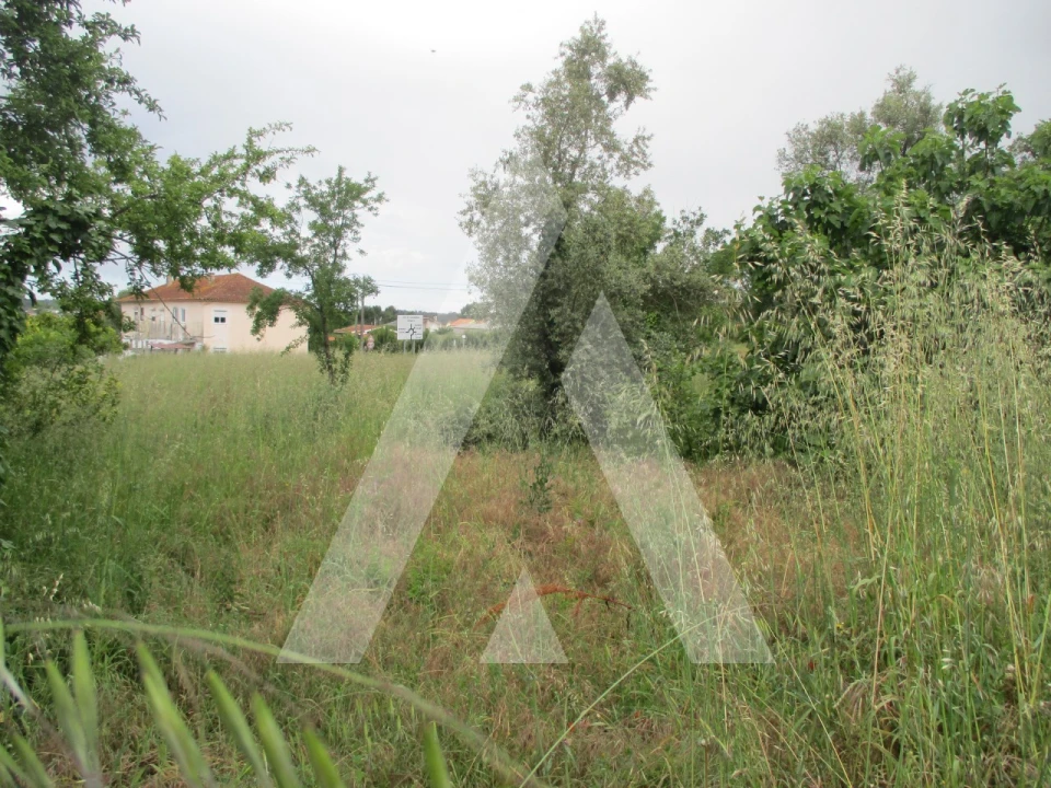 Terreno para Venda em Sangalhos Foto 5