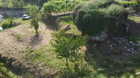 Moradia T3 para Venda em Sabadim