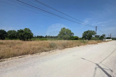Terreno para Venda em Azeitão (São Lourenço e São Simão)