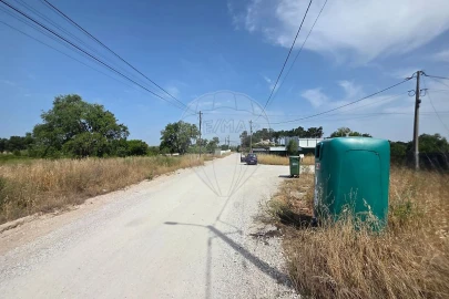 Terreno para Venda em Azeitão (São Lourenço e São Simão)