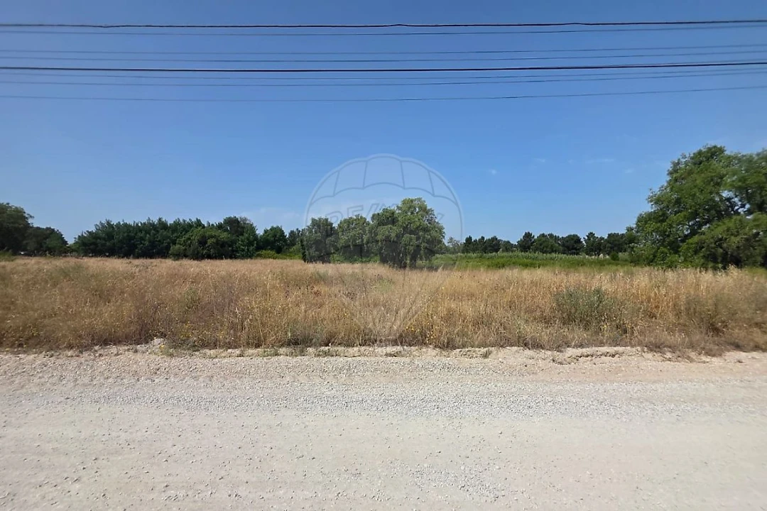 Terreno para Venda em Azeitão (São Lourenço e São Simão) Foto 3