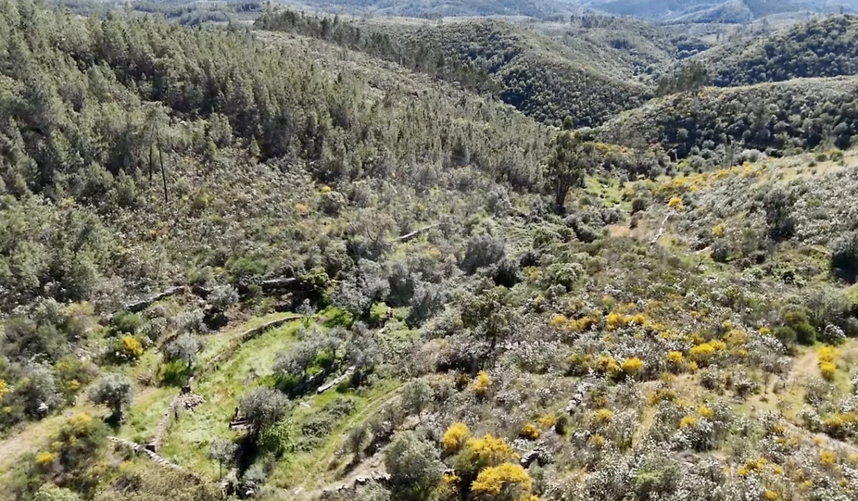 Terreno para Venda em Benquerenças Foto 5