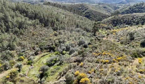 Terreno para Venda em Benquerenças