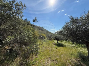 Terreno para Venda em Benquerenças