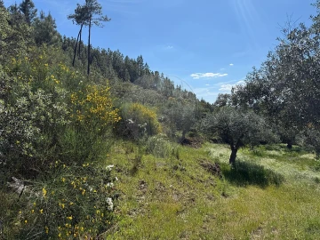 Terreno para Venda em Benquerenças