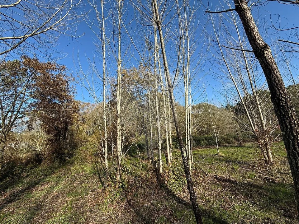 Terreno para Venda em Carnide Foto 3