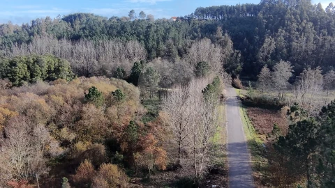 Terreno para Venda em Carnide