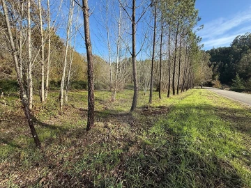 Terreno para Venda em Carnide