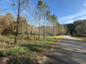 Terreno para Venda em Carnide