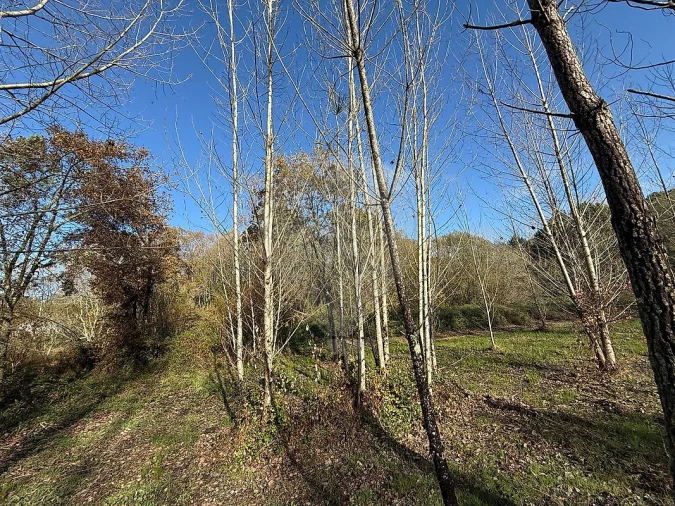 Terreno para Venda em Carnide Foto 3