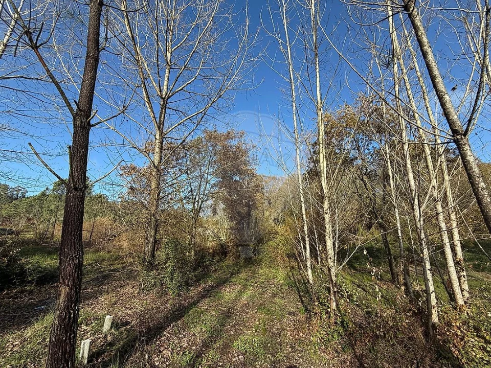 Terreno para Venda em Carnide Foto 1