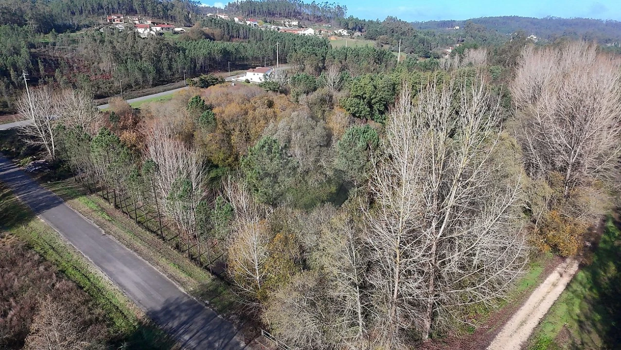 Terreno para Venda em Carnide Foto 3