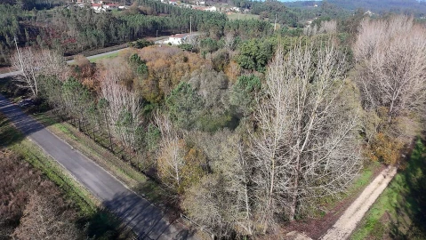 Terreno para Venda em Carnide
