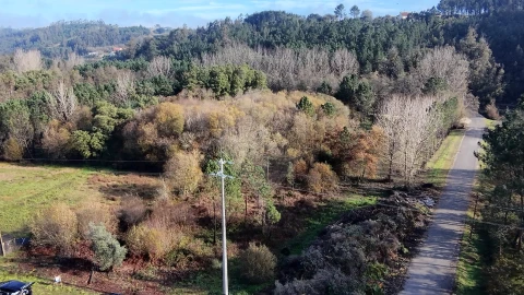 Terreno para Venda em Carnide