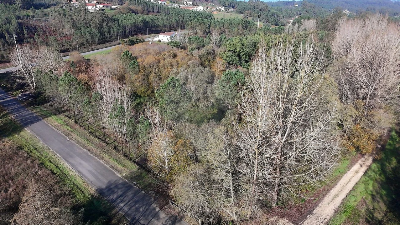 Terreno para Venda em Carnide Foto 4