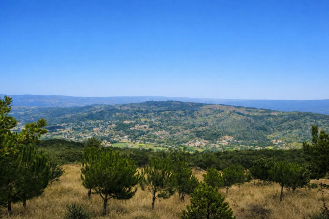 Moradia T4 para Venda em Amarante (São Gonçalo), Madalena, Cepelos e Gatão Foto 29