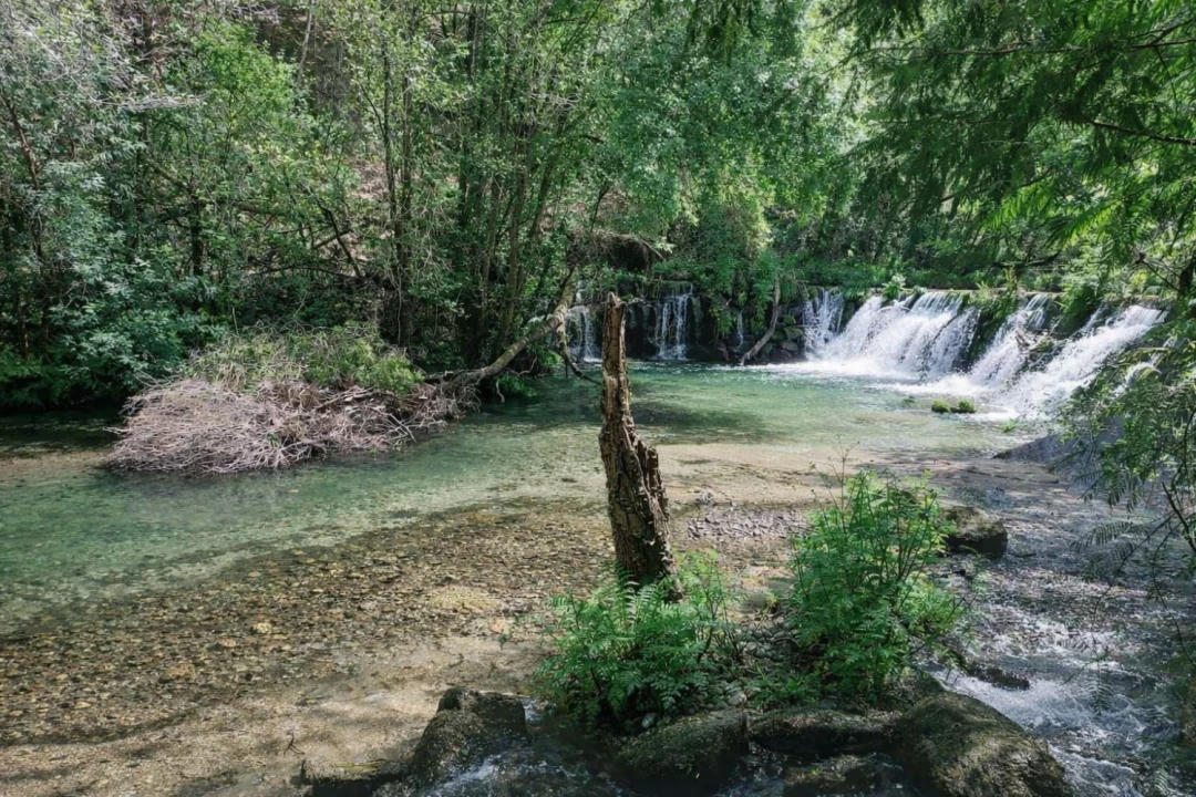 Moradia T4 para Venda em Amarante (São Gonçalo), Madalena, Cepelos e Gatão Foto 30