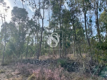 Terreno para Venda em Campo e Tamel (São Pedro Fins)
