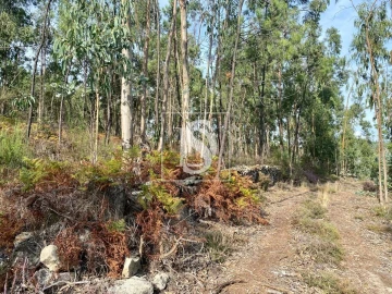 Terreno para Venda em Campo e Tamel (São Pedro Fins)