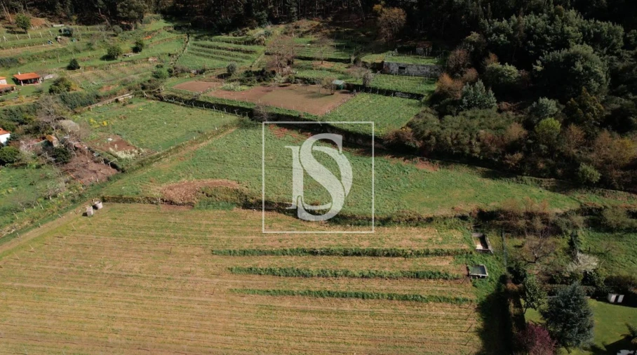 Terreno para Venda em Messegães, Valadares e Sá Foto 9