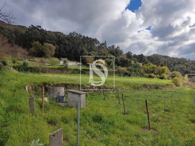 Terreno para Venda em Messegães, Valadares e Sá Foto 6