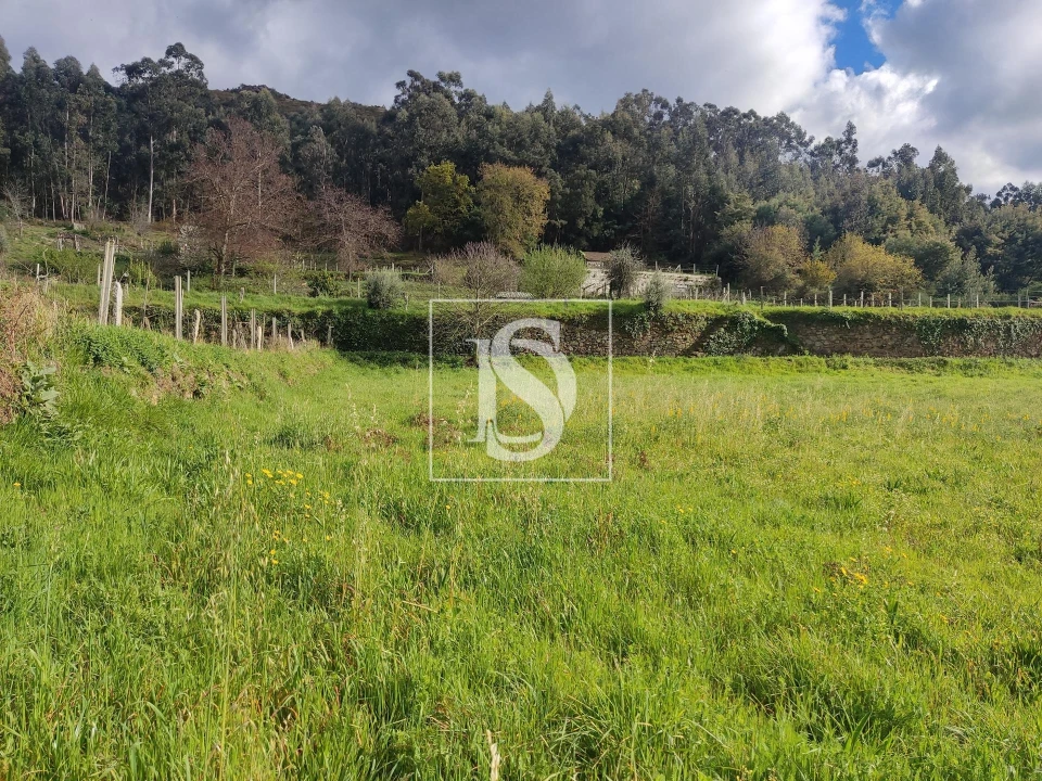 Terreno para Venda em Messegães, Valadares e Sá Foto 4