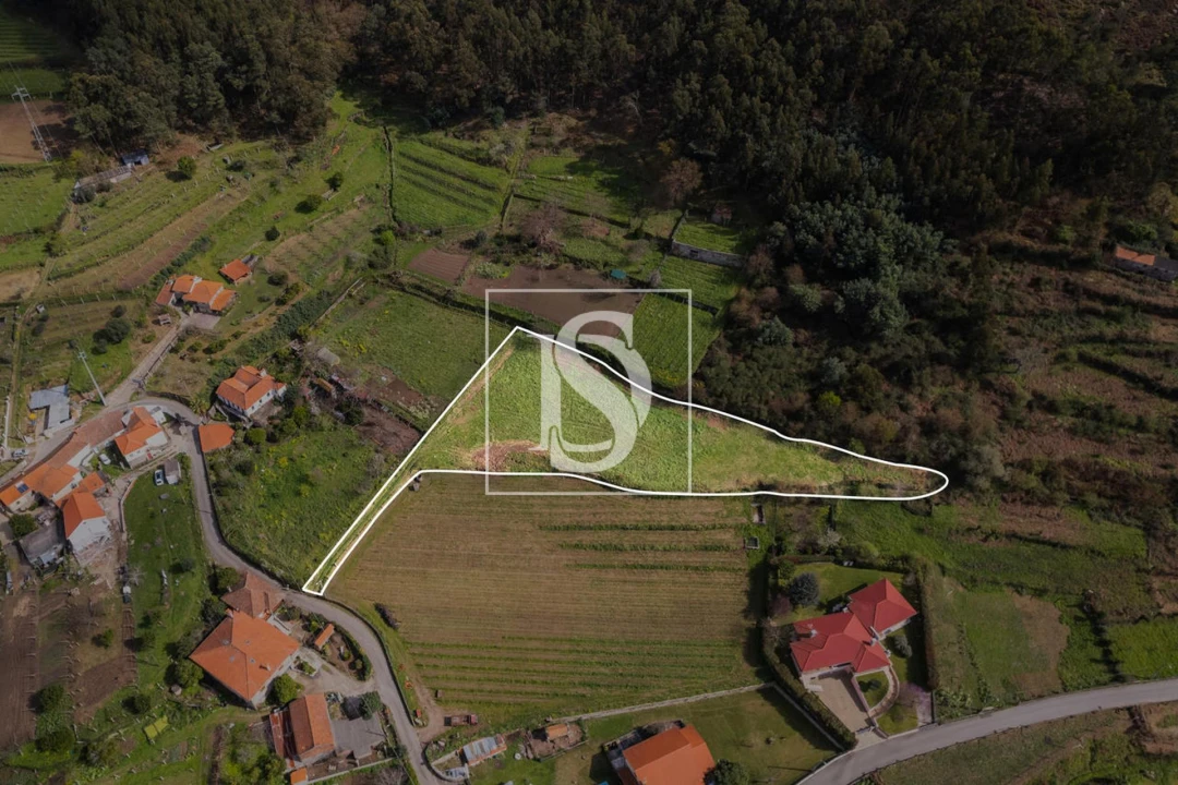 Terreno para Venda em Messegães, Valadares e Sá Foto 1