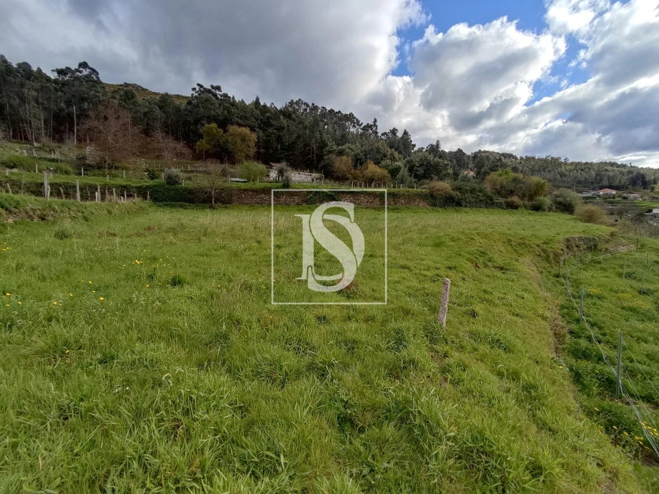Terreno para Venda em Messegães, Valadares e Sá Foto 5