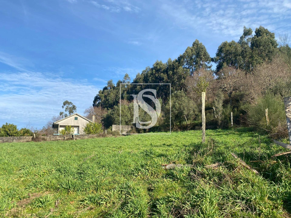 Terreno para Venda em Ribeira do Neiva Foto 7