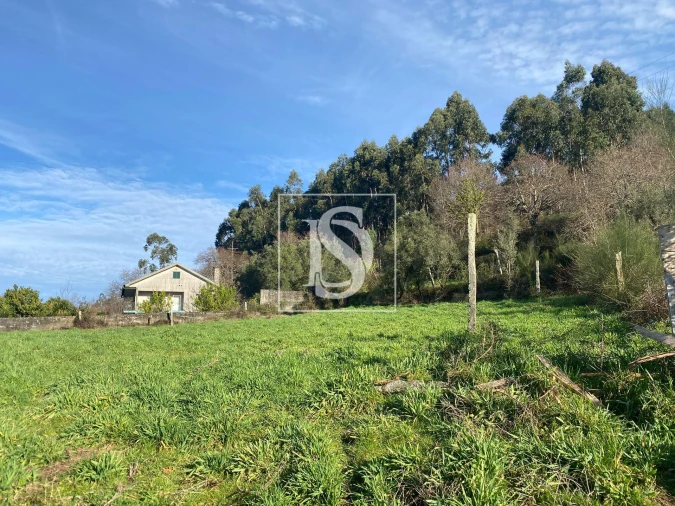 Terreno para Venda em Ribeira do Neiva Foto 7