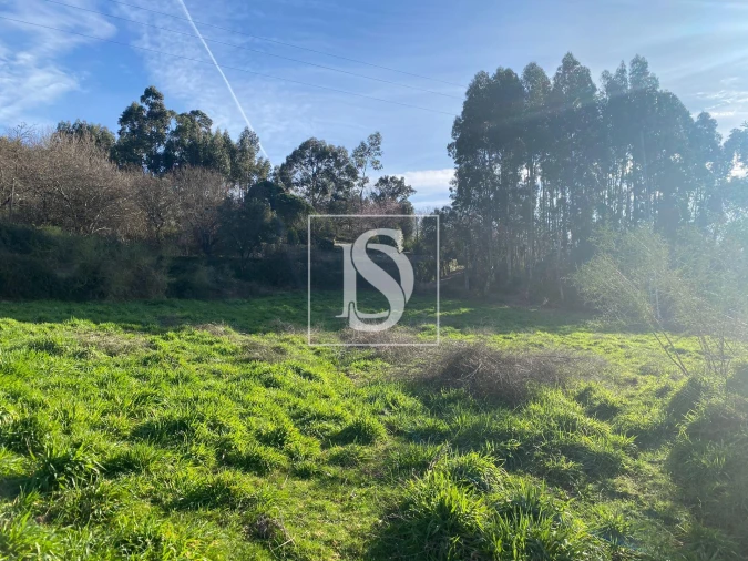 Terreno para Venda em Ribeira do Neiva Foto 9