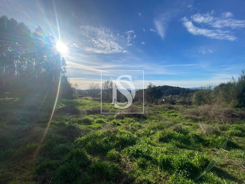 Terreno para Venda em Ribeira do Neiva Foto 10