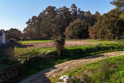 Terreno para Venda em Galegos (São Martinho)