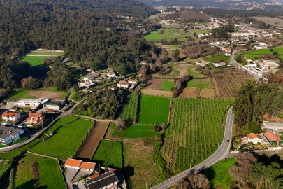 Terreno para Venda em Galegos (São Martinho)