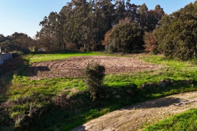 Terreno para Venda em Galegos (São Martinho)