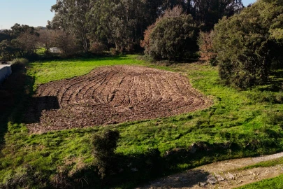 Terreno para Venda em Galegos (São Martinho)