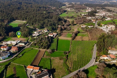 Terreno para Venda em Galegos (São Martinho)