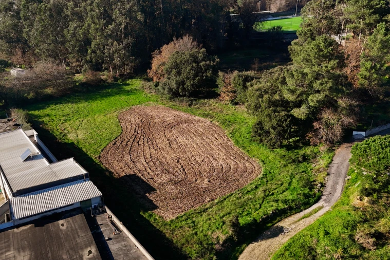 Terreno para Venda em Galegos (São Martinho) Foto 6