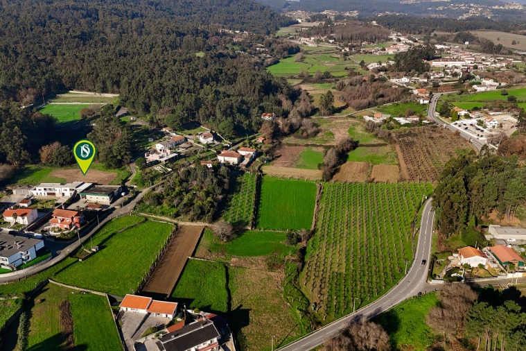 Terreno para Venda em Galegos (São Martinho) Foto 11