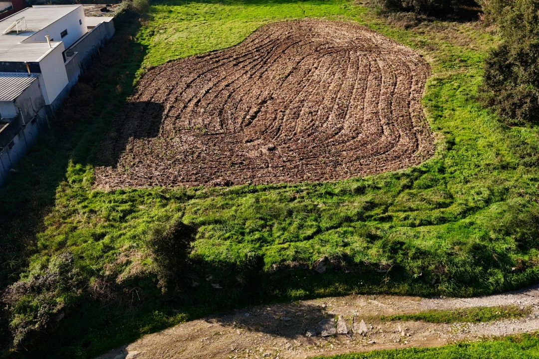 Terreno para Venda em Galegos (São Martinho) Foto 7