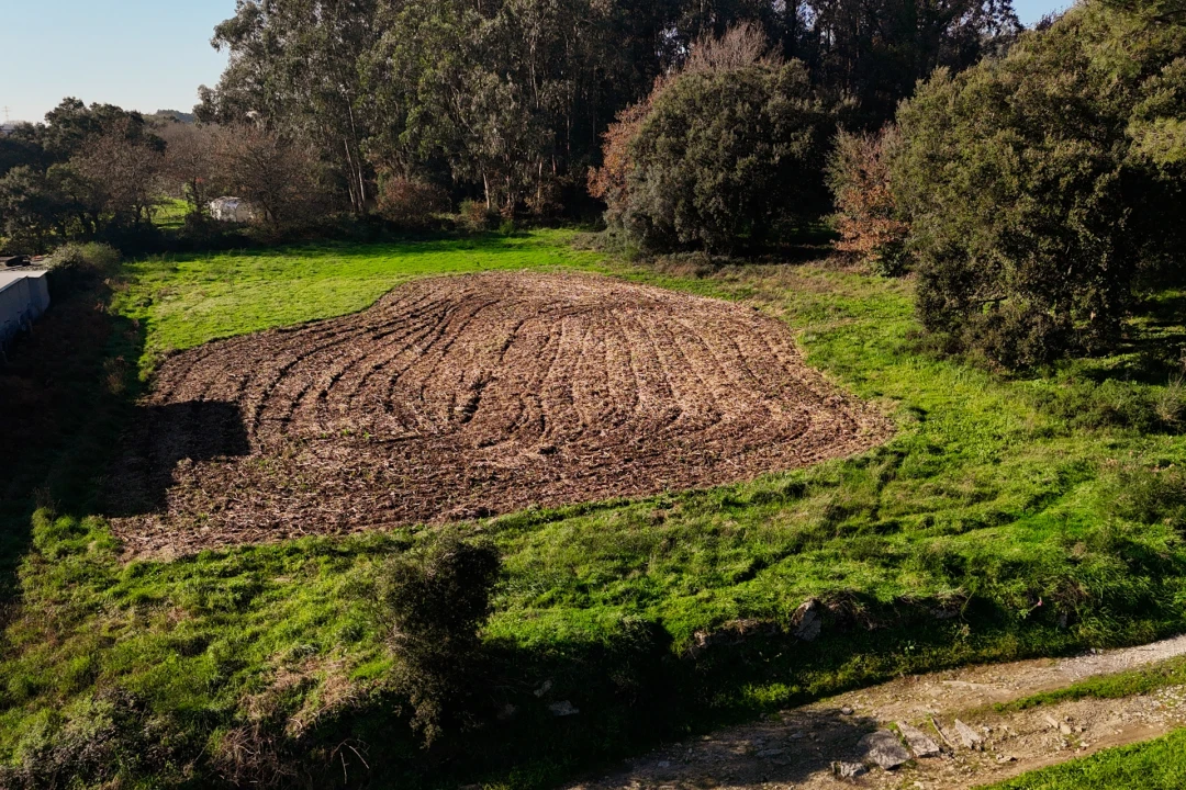Terreno para Venda em Galegos (São Martinho) Foto 3