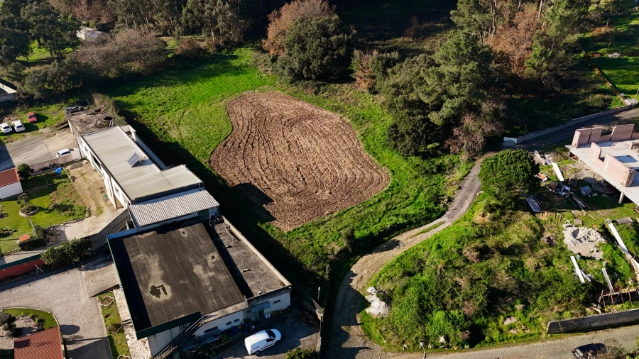 Terreno para Venda em Galegos (São Martinho)