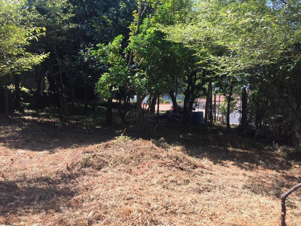 Terreno para Venda em Creixomil e Mariz Foto 7