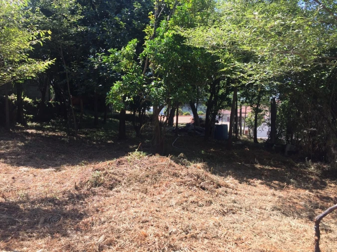 Terreno para Venda em Creixomil e Mariz Foto 7